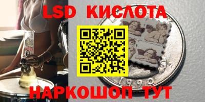 спайс Гагарин
