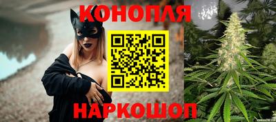 спайс Гагарин
