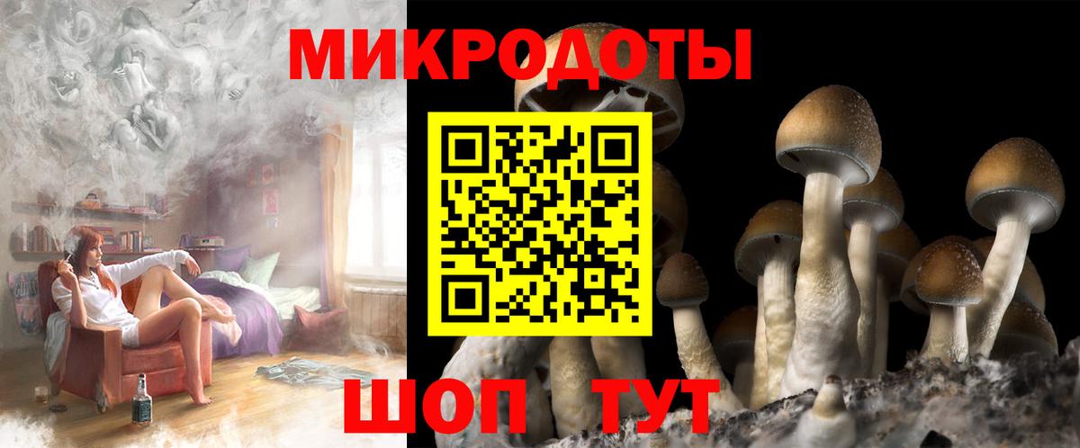 Галлюциногенные грибы Cubensis  наркота  Малоярославец  Вход с VPN 